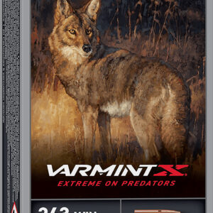 Winchester Ammo X243PXP Varmint X  243Win 65gr Extreme Point 20 Per Box/10 Case
